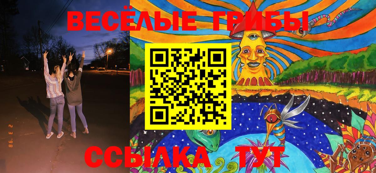Соль-Илецк  Псилоцибиновые грибы GOLDEN TEACHER  Вход с VPN 